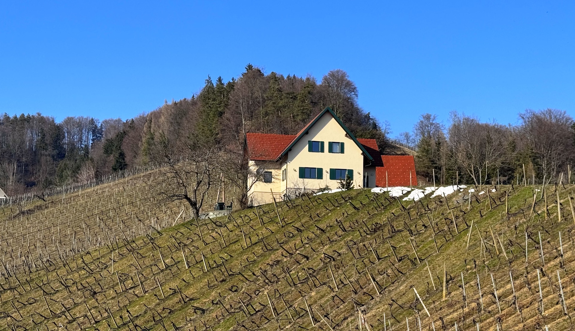 Wohnen in den Weinbergen